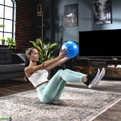 Фитбол Hop-Sport 25см голубой