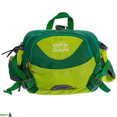 Сумка поясная COLOR Life WAIST BAG TY-5335 Фиолетовый-малиновый