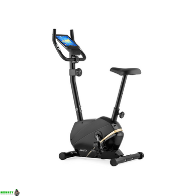 Велотренажер Gymtek XB800 золотой магнитный
