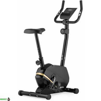Велотренажер Gymtek XB800 золотой магнитный