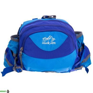 Сумка поясная COLOR Life WAIST BAG TY-5335 Фиолетовый-малиновый