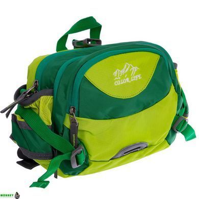 Сумка поясная COLOR Life WAIST BAG TY-5335 Фиолетовый-малиновый
