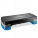 Степ-платформа 2-ступенчатая 4FIZJO 4FJ1370 Black/Blue