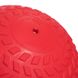 Мяч медицинский слэмбол для кроссфита Record SLAM BALL FI-5729-2 2кг красный