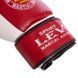 Перчатки боксерские LEV UR LV-4281 Черный 10 унции