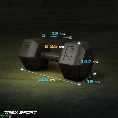 Гантелі для фітнесу композитні TREX Sport TX-008CD 2x8кг