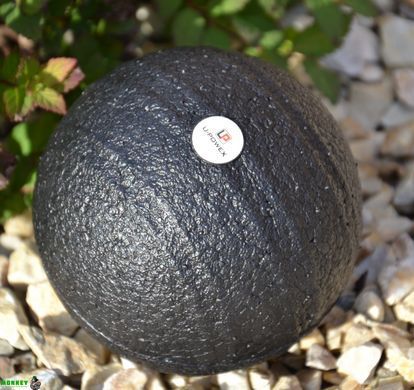 Массажный мяч U-POWEX Epp foam ball (d8cm.) Black
