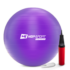 Фітбол Hop-Sport 65см фіолетовий + насос 2020