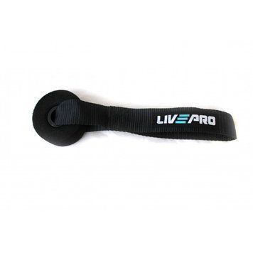 Фиксатор для эспандера LivePro DOOR ANCHOR