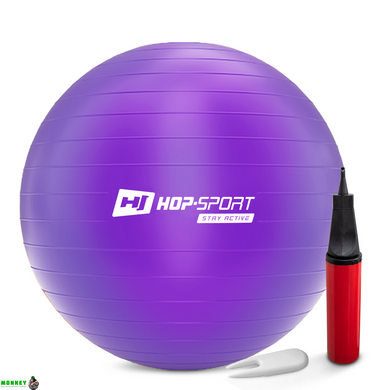 Фитбол Hop-Sport 65 см фиолетовый + насос 2020