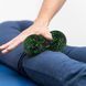 Массажный набор PowerPlay PP_4015 EPP Foam Roller Set 4in1 (2-я роллы + 2-я мячи) Черно-зеленый