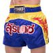 Шорты для тайского бокса и кикбоксинга TOP KING TKTBS-146 XS-XXL цвета в ассортименте
