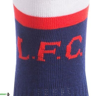 Гетри футбольні дитячі клубні NORVA LIVERPOOL AWAY 2020 ETM2006-LIV2 розмір 32-39 білий-синій