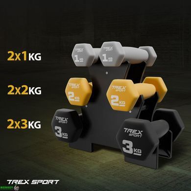 Набор фитнеса гантелей TREX Sport TX-V120VS с подставкой 12кг