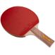 Ракетка для настольного тенниса GIANT DRAGON FIGHTER 3* MT-5689 92304 цвета в ассортименте