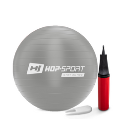 Фітбол Hop-Sport 55см сріблястий + насос 2020
