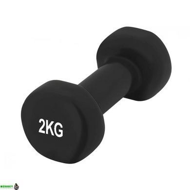 Гантели виниловые PowerPlay 2*2 кг. PP_4121 Черные (2шт. - пара) + Резинка для фитнеса 7,5кг