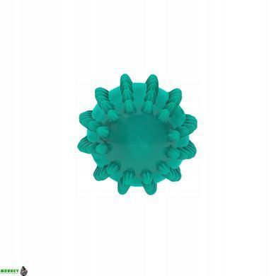 М'яч масажний огірок 4FIZJO Spike Bean 11.5 x 5 см Green (P-5905973400206)