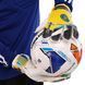 Перчатки вратарские INTER MILAN BALLONSTAR FB-0187-5 10 размер желтый-черный