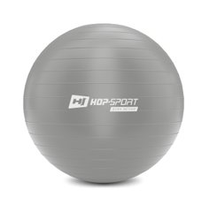 Фитбол Hop-Sport 75 см серебристый + насос 2020