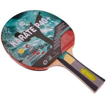 Ракетка для настольного тенниса GIANT DRAGON KARATE P40+ 4* MT-5691 ST12402P