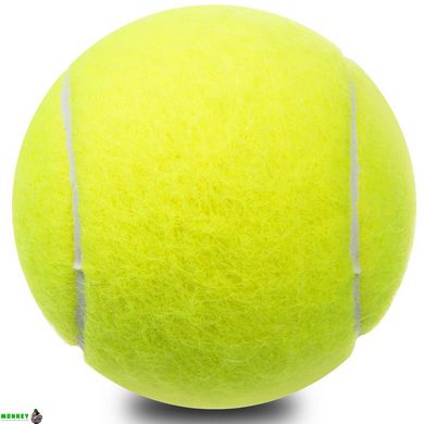 Мяч для большого тенниса TELOON POUND TOUR T828P3 3шт