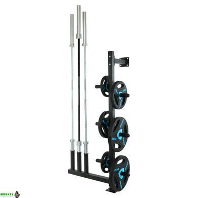 Стійка для млинців (дисків) та грифів LiveUp LP8894 розмір-18,09х40,1х100см чорний