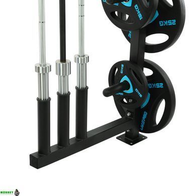 Стійка для млинців (дисків) та грифів LiveUp LP8894 розмір-18,09х40,1х100см чорний