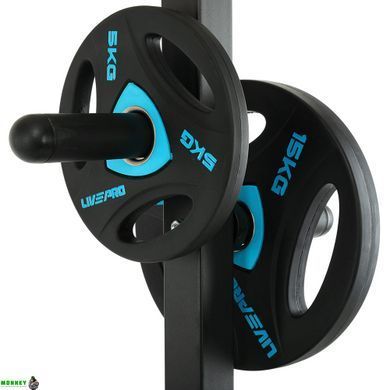 Стійка для млинців (дисків) та грифів LiveUp LP8894 розмір-18,09х40,1х100см чорний