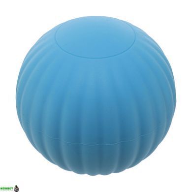 Мяч кинезиологический SP-Planeta FI-9674 Черный