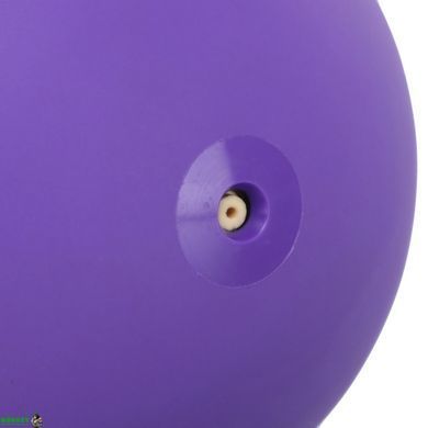 Гиря мягкая SP-Sport FI-0122-2 Фиолетовый вес 2кг