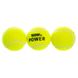 М'яч для великого тенісу TELOON POWER T616P3 3шт салатовий