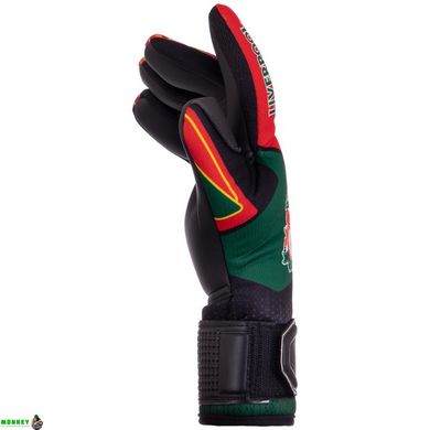 Перчатки вратарские LIVERPOOL BALLONSTAR FB-2374-03 размер 8-10 черный-красный-зеленый