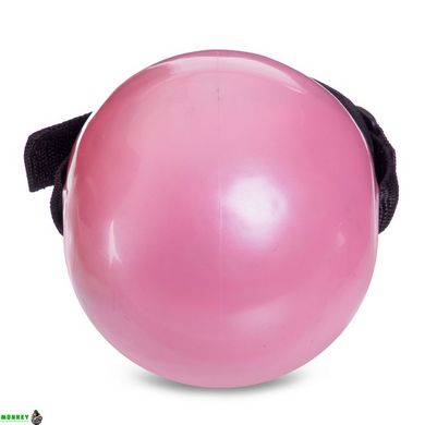 Мяч утяжеленный с манжетом PRO-SUPRA WEIGHTED EXERCISE BALL 030-1_5LB 11см розовый