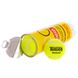 Мяч для большого тенниса TELOON MASCOT T801P3 3шт салатовый
