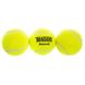 М'яч для великого тенісу TELOON MASCOT T801P3 3шт салатовий