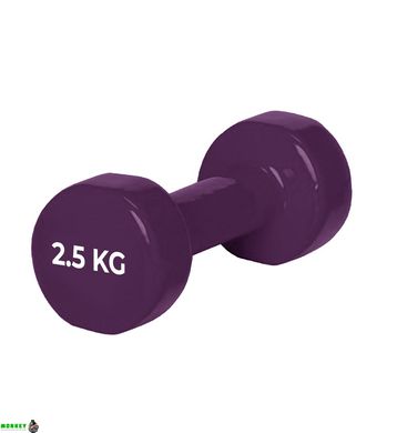 Гантеля PowerPlay 4125 виниловая 2.5 кг Фиолетовая