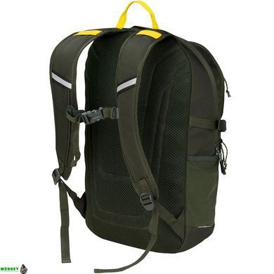 Sierra Designs рюкзак Yuba Pass 25 L green