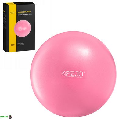 Мяч для пилатеса, йоги, реабилитации 4FIZJO 22 см 4FJ0327 Pink