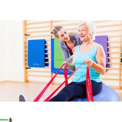 Лента-эспандер для спорта и реабилитации 4FIZJO Flat Band 30 м 2-4 кг 4FJ0102