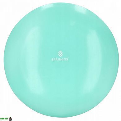 Балансувальна подушка (сенсомоторна) масажна Springos FA0077 Mint
