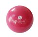 М'яч-обтяжувач Sveltus 0.5 кг (SLTS-0450)