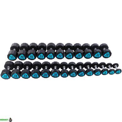Гантели профессиональные с полиуретановым покрытием LiveUp LP8003-46 (2х46кг)