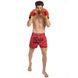 Шорты для тайского бокса и кикбоксинга FAIRTEX BS1703 S-XL красный-черный