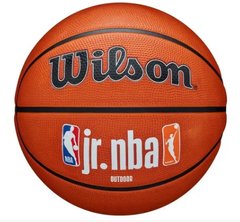Мяч баскетбольный Wilson JR NBA FAM LOGO AUTH OUTDOOR BSKT size 7