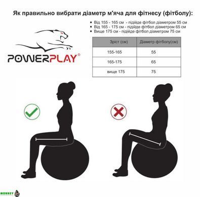М'яч для фітнесу PowerPlay 4001 65см Сірий + насос