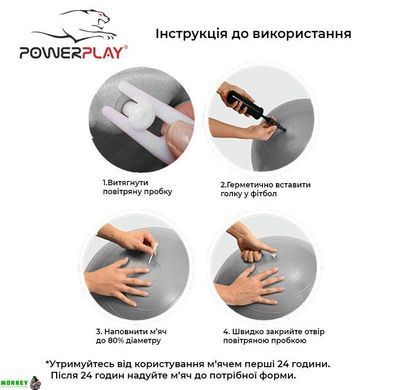 М'яч для фітнесу PowerPlay 4001 65см Сірий + насос