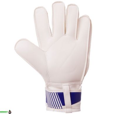 Воротарські рукавиці CHELSEA BALLONSTAR FB-0187-8 розмір 8-10 синій-білий
