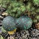 Массажный мяч двойной PowerPlay PP-4352 Epp foam peanut ball (d8*16cm.) Черно/Зеленый