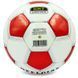 М'яч футбольний OFFICIAL BALLONSTAR FB-0170 Чорний №4 PU